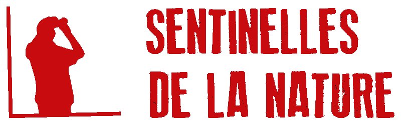 logo sentinelle