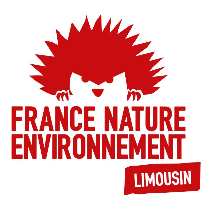 logo FNE L