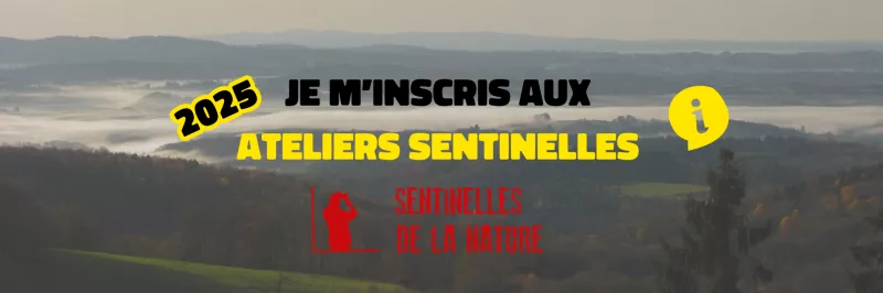Atelier Sentinelles de la Nature