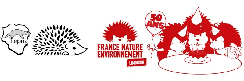 logo 50 ans