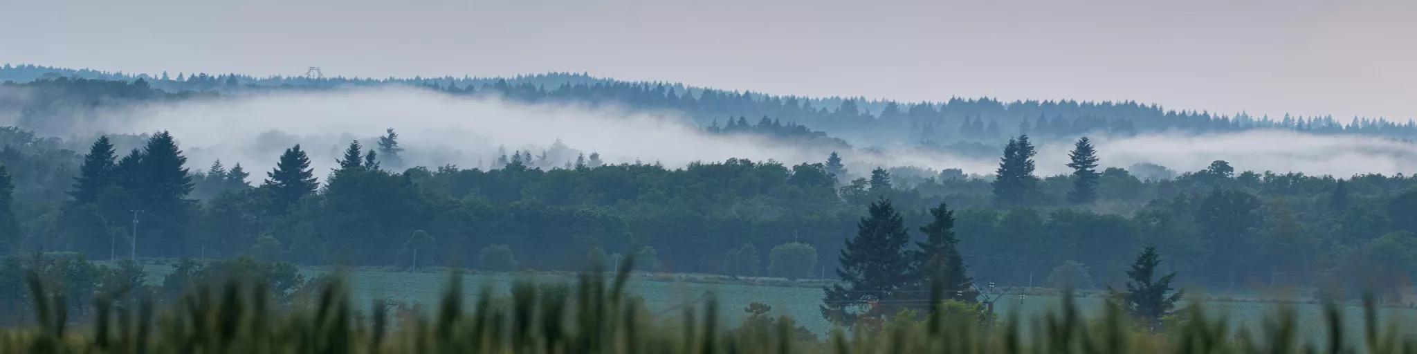 Paysage du Limousin