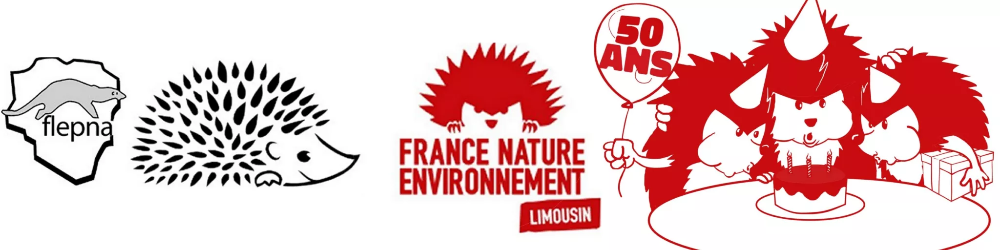 logo 50 ans