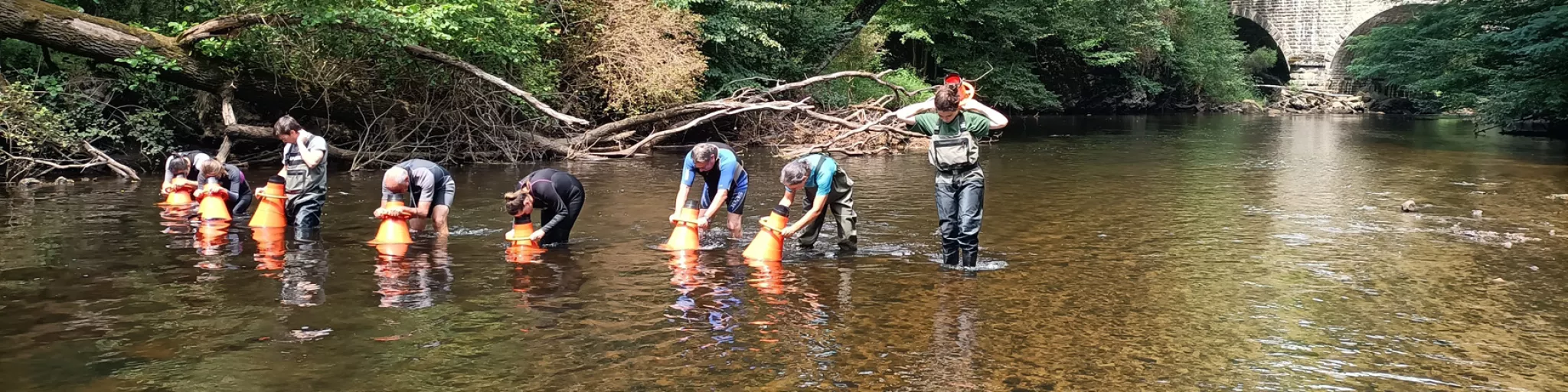 Prospection pour les bivalves
