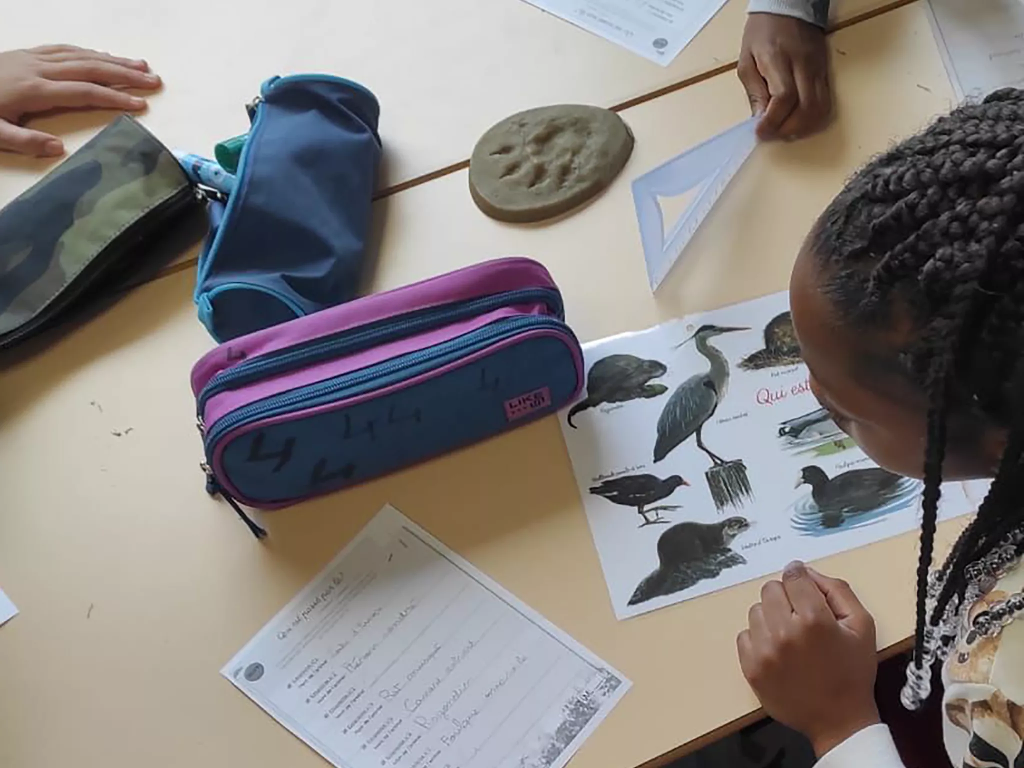 Animation école