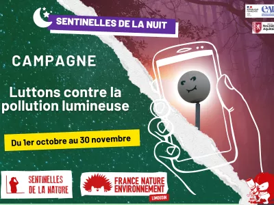 visuel campagne